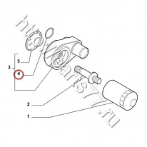 Прокладка теплообменника (малое уплотнительное кольцо) Fiat Ducato(250)/Ducato Russia 2.3JTD, 504065448