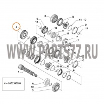 Шестерня 2-й передачи (21х41) КПП Fiat Ducato RUS/Ducato(250)/PSA Boxer 06->, 9653583980/9804261380